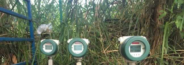 蒸汽香蕉视频黄色导航，如果食品厂安装正确，这是非常重要的。